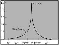 Visual acuity drops of rapidly with distance from the fovea (source: [url=http://en.wikipedia.org/wiki/Fovea_centralis]Wikipedia[/url])